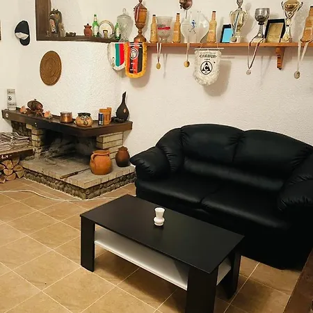 станеви Ribarica